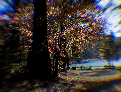 autumn scene shot with monocle