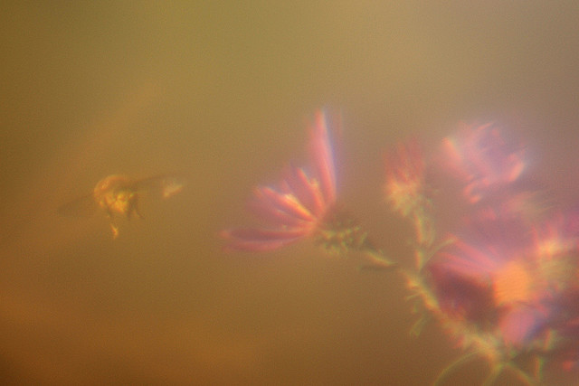 an antipinhole image