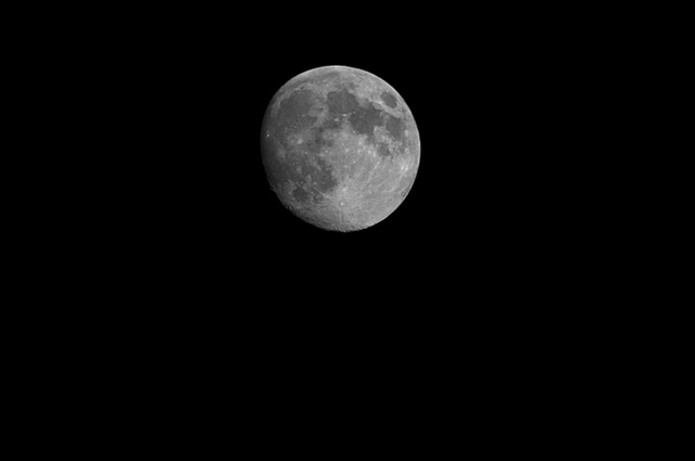 telephoto demo