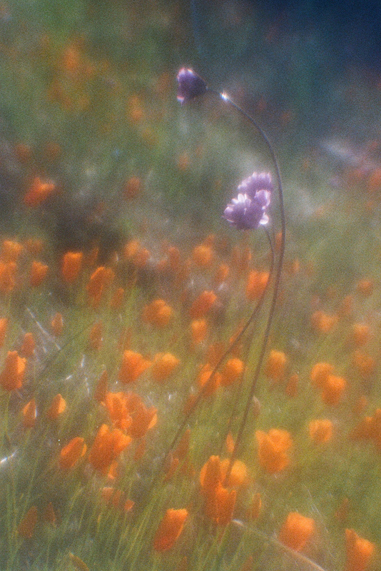 Painterly
