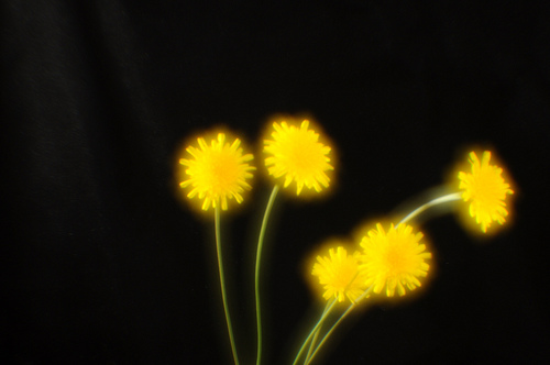f/ 5.6